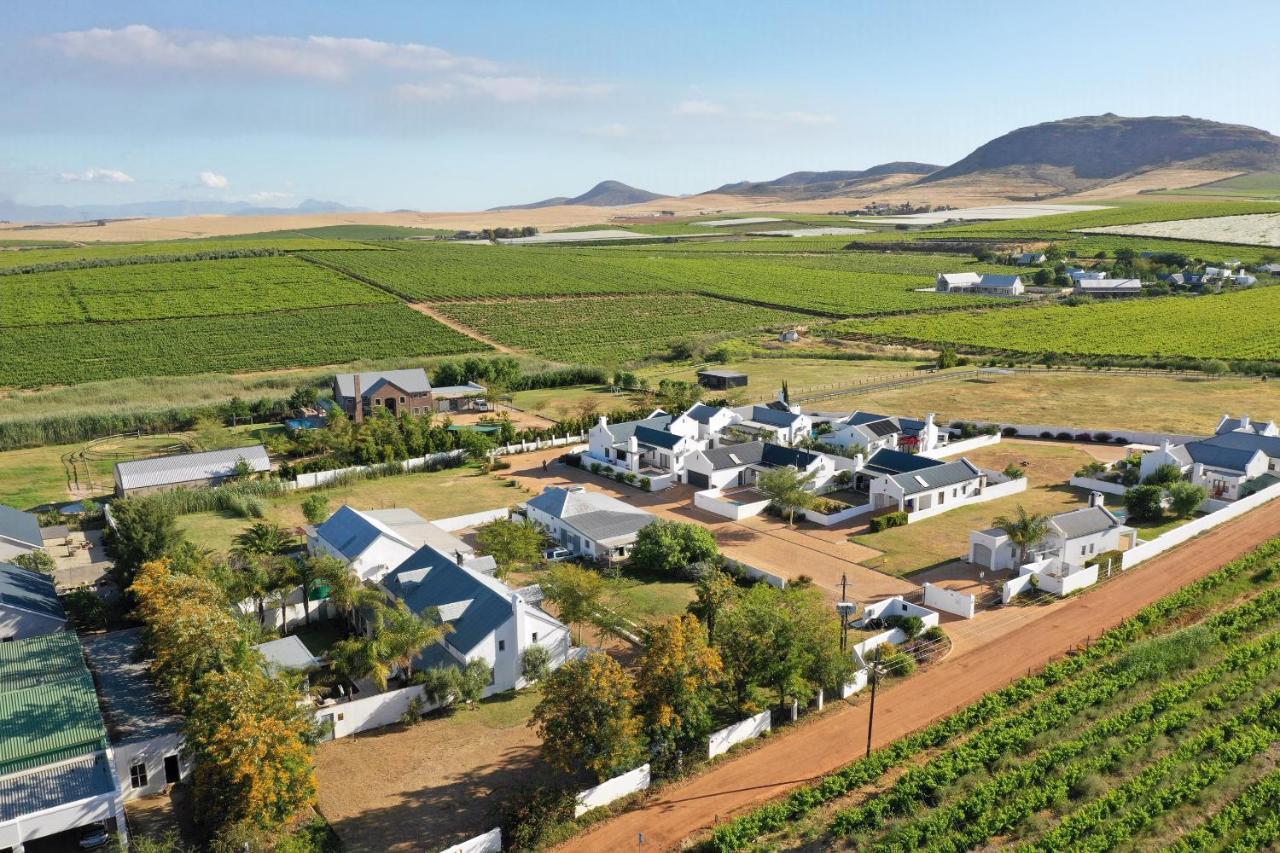 Shiraz Estate Ξενοδοχείο Riebeek-Kasteel Εξωτερικό φωτογραφία